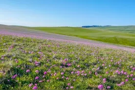 人到晚年，不用纠结儿媳好不好，记住这两句实在话，日子才舒心图片
