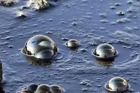 看完你就明白石油是怎么生成的，为什么不属于再生物图片