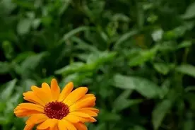 梦到去世的亲人、朋友，多半是这三种暗示图片