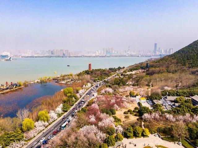 人从众！徐州的春天，已经被游客挤 “火” 了