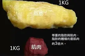 减掉一斤纯脂肪 需要多久，你知道吗？图片