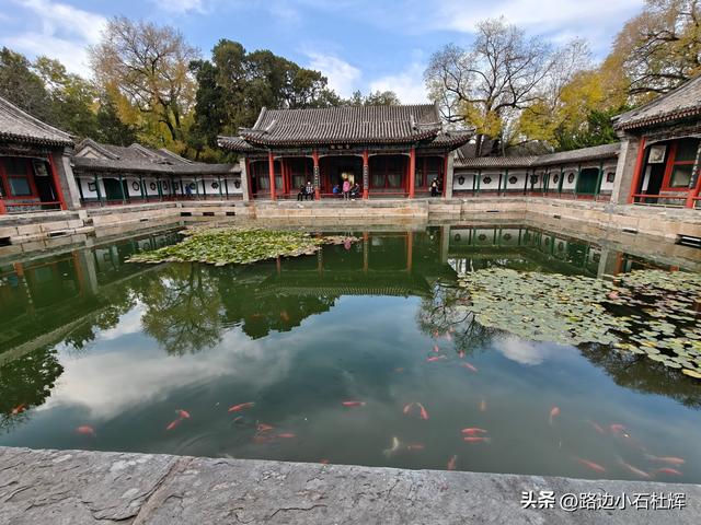 从童年嬉闹到诗意园林——一个北京土著的北海公园记忆