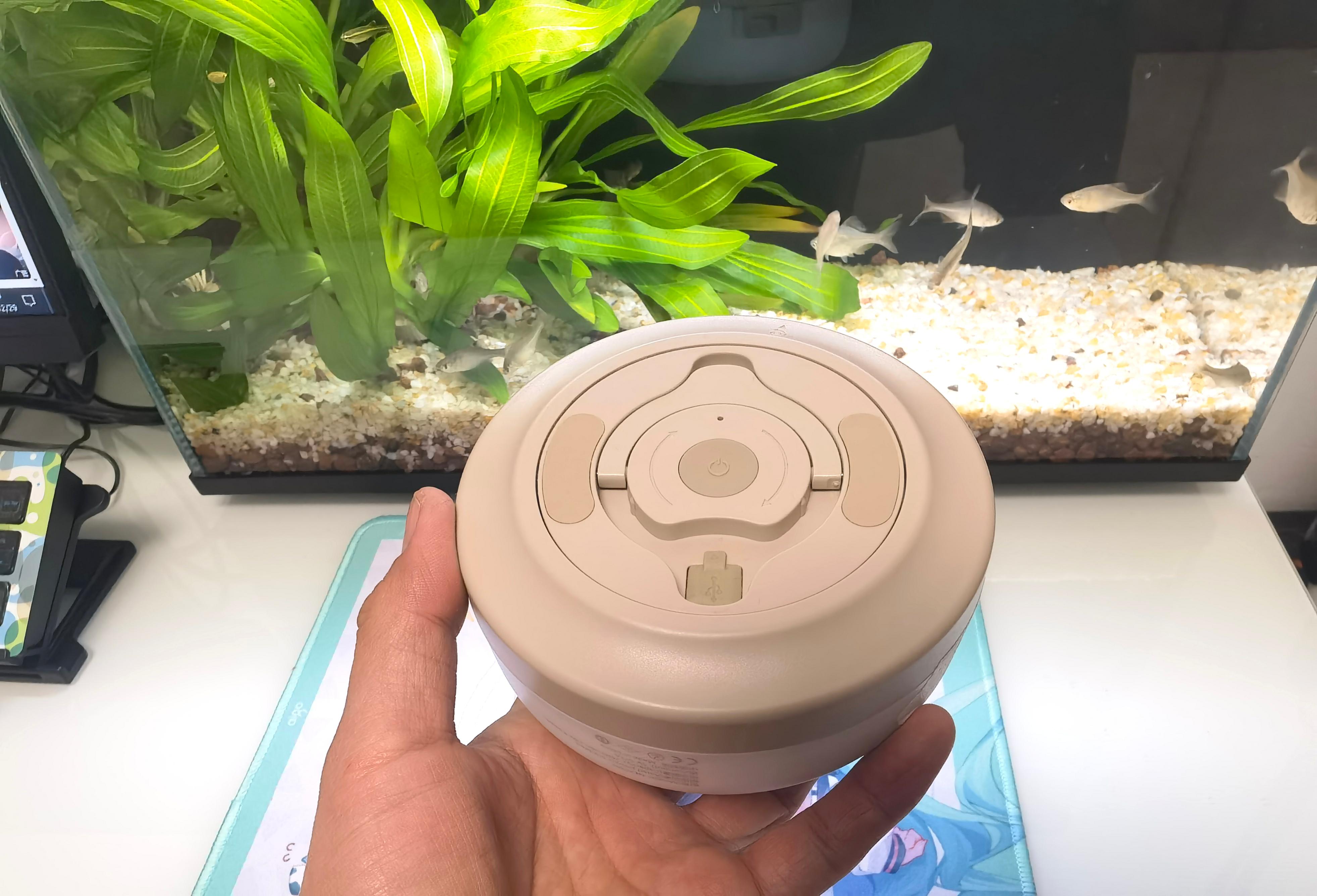 纳拓智能拾音星河灯,把节日的彩灯玩出了新花样