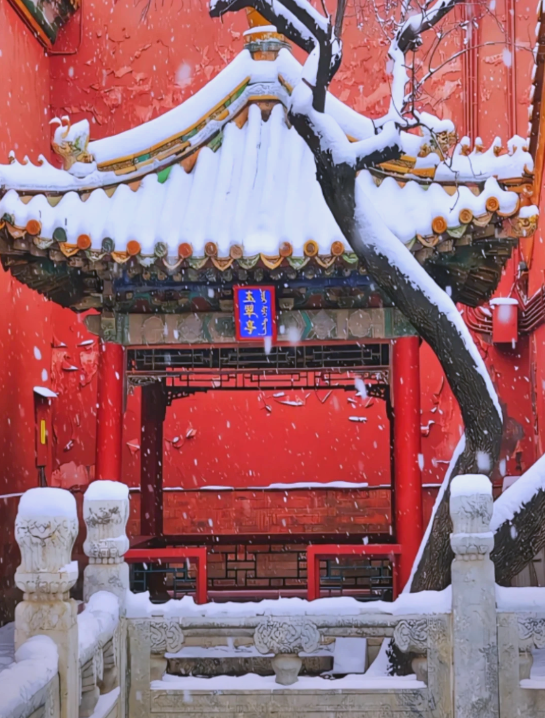 北京初雪 “稳了”！没想到：故宫本周六门票，秒光！