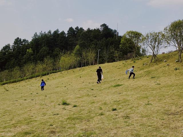 第一次！清明春假双假合一：热门景区将迎来史上最挤“窗口期”