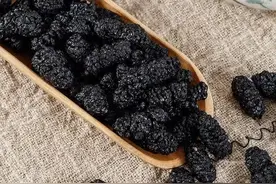 桑葚，是一味厉害的补药！春季多吃，孩子睡得好、少生病，长更高图片