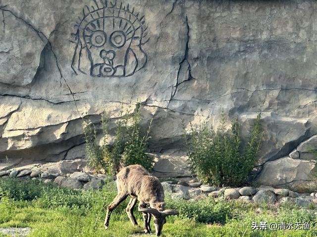 西北这座城市，去之前期望不高，去了后直呼真香，风景大气壮观！