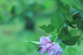 为了自己，要远离那些人格不完整的人，他们往往有这2个特点图片