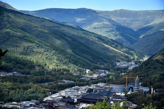 太原五台山旅游公交竞争，网约车文旅比拼长途车，票价远超石家庄