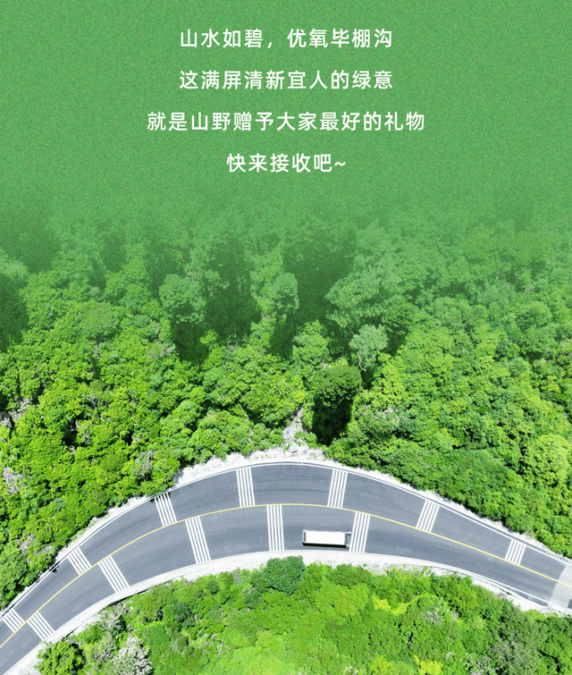 这个八月，被毕棚沟满屏绿狠狠 “拿捏”！