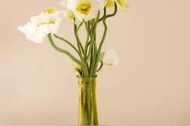 情侣不知道的五种接吻方式图片