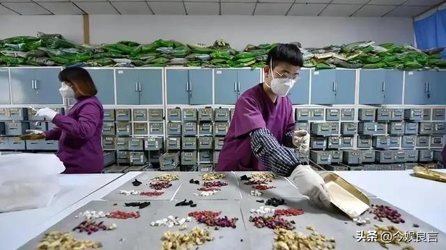 大量日本游客涌入北京，打着旅游幌子不去旅游不吃美食，为啥来？