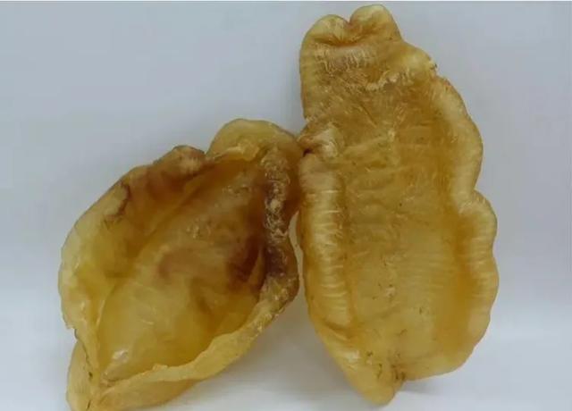 吃花胶是不是要长胖 2026年吃花胶是不是要长胖些 吃花胶是不是要长胖 2026年吃花胶是不是要长胖些