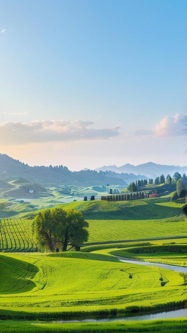 我偷喝了黄昏一杯酒