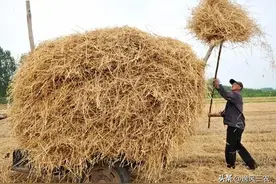 说烧秸秆是几千年的传统是不对的，真正的秸秆处理方法史在这里图片