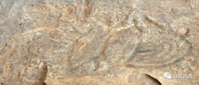 内蒙乌海市有古老的史前岩画,多次前往不得入内 痴心不改终见真容