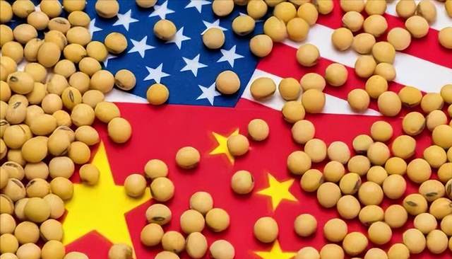 终于低下高贵头颅，美国公开表示：若中国要大豆，希望先找美国