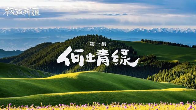 央视又放大招！于极致之间，看见新疆的无限可能