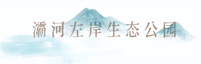 秋染灞桥 | 灞桥的“秋” 在唐诗中穿行……