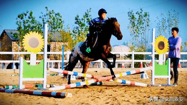 -10°C也拦不住！被窝里哪有马背上潇洒？小泰成功解锁泰安冬季最野玩法！
