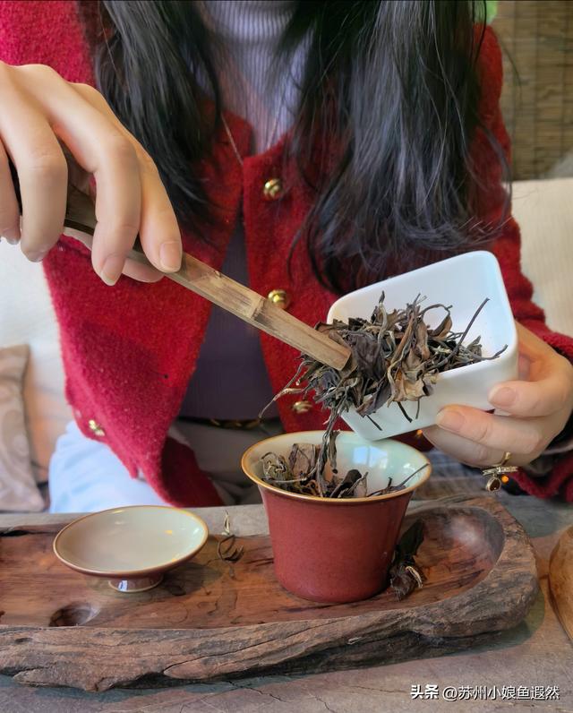 人少景美！2025年末打卡苏州震泽古镇，吃喝玩乐、打卡机位全攻略