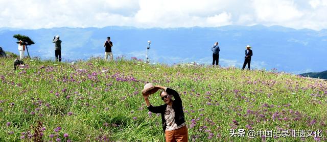 六盘水韭菜坪：踏秋避暑的梦幻仙境，野生韭菜花惊艳绽放！