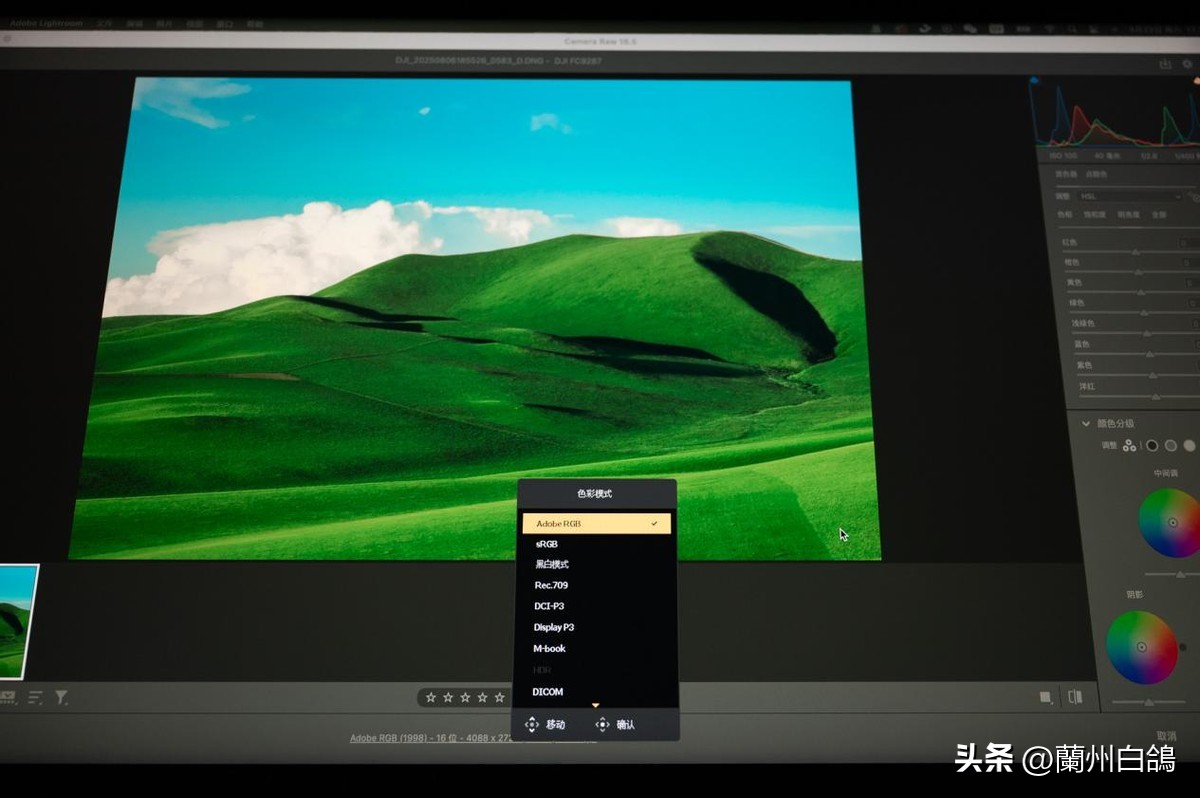 什么显示器色彩最好_专业摄影显示器_色彩管理