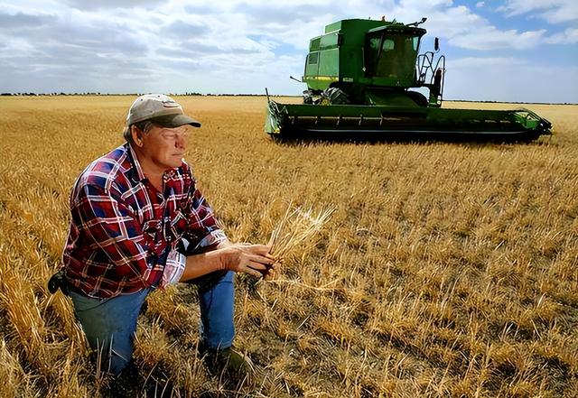 中方说话算话，美农业代表刚见完李成钢，12万吨美国小麦运往中国