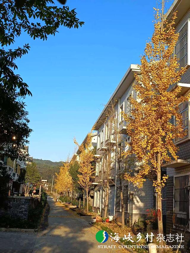 【金牌旅游村】福建｜三元区小蕉村：村在景中 景在村中