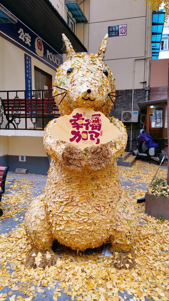 持续一周！抓住银杏的“尾巴”，到后市街打卡“疯狂动物城”