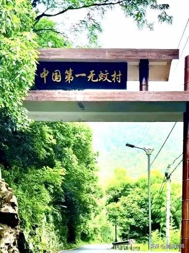 大坪行吟(散文诗)