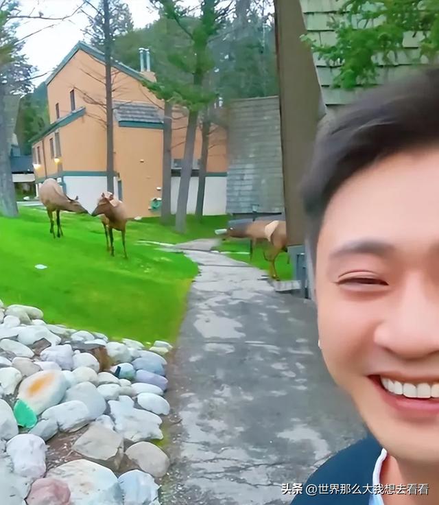 央视主持人晒加拿大之旅，一晚住宿抵一月工资！网友炸锅了！