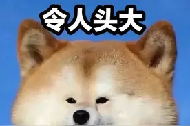 养狗陷阱：为什么还是会有人相信狗粮比人吃的饭菜更健康？图片