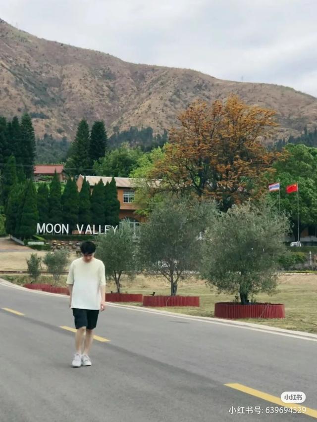 比大理浪漫！比昆明更近！高铁直达阳光小城，2万株蓝花楹美疯！观海登山，美食吃到爽！