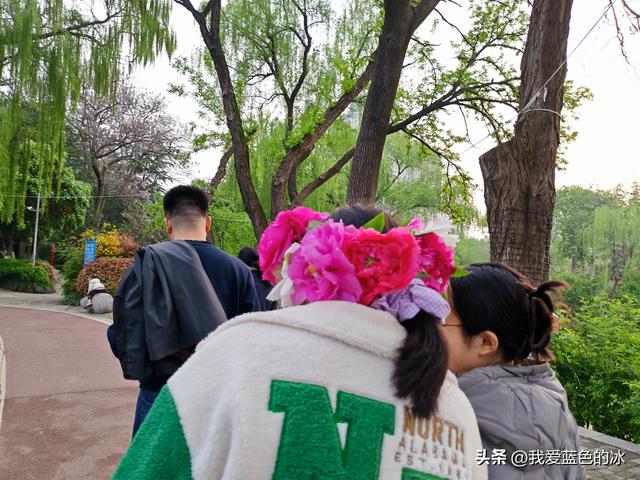 逛菏泽天香公园，这里牡丹很吸引游客，关键是二十四小时免费参观