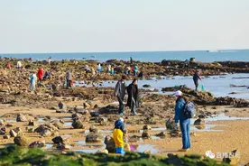 走，赶海去！日照有人半天捡10多斤野生海参！图片
