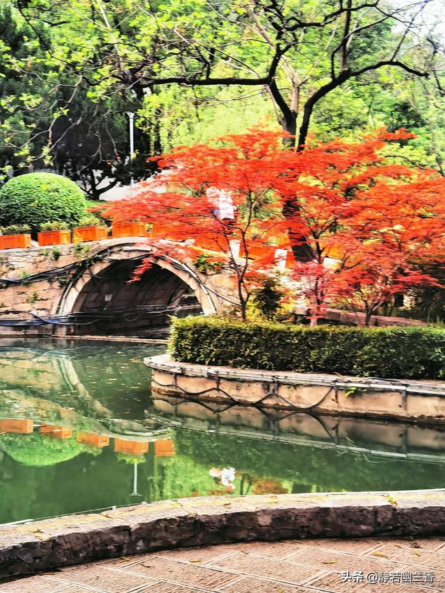 拥抱春天的绿水青山