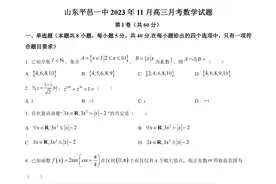山东平邑一中2023年11月高三上学期月考数学试卷及答案图片