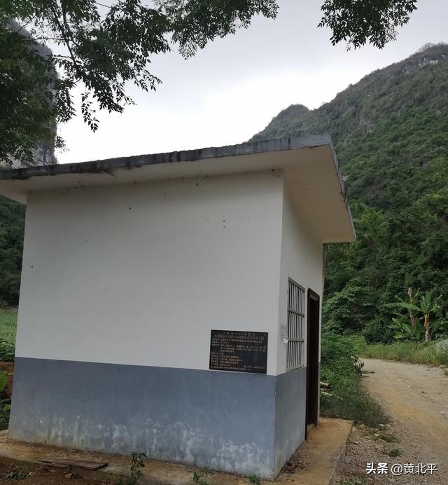 广西崇左市大新县边境线上的小圩，千年枯树能否成为热门打卡地