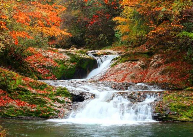 赏秋正当时!自驾来汉中,赴一场秋日视觉盛宴~