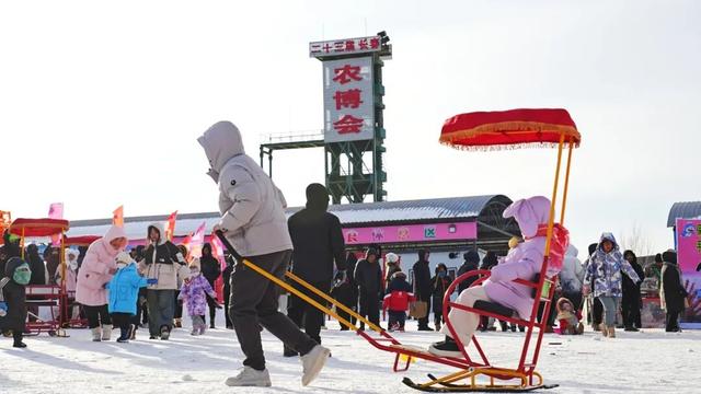 长春冰雪乐园+1！走，玩雪去~