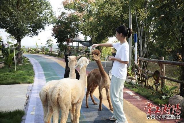 当足球邂逅乡村美景，珠晖区将迎来一场“1+1＞2”的惊喜碰撞！