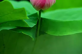 惊！监控下拍摄下的保姆，让人脊背发凉！图片