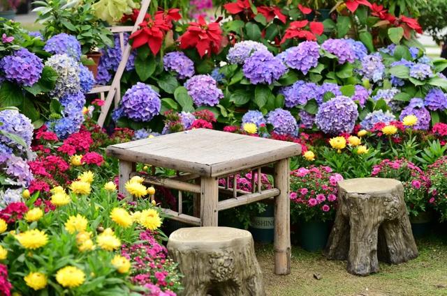 4月4日，莲花花神邂逅赛博机器人，邀您玩转观音山花朝节