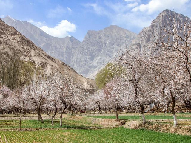 四月错峰旅行，6个绝佳旅行地，气候刚好，风光极佳