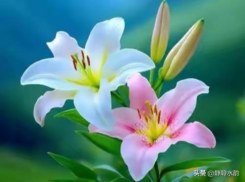 两性关系：50岁	，不怕你动手动脚，就怕你动这三样