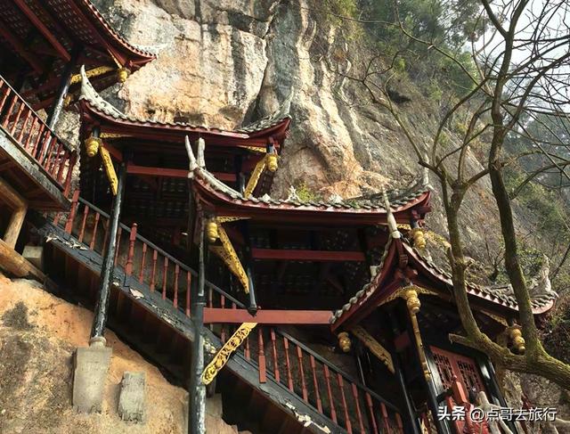 成都冬天爆火的徒步赏花，拍照赏景超级惊艳，全部免费！