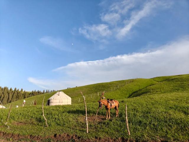 你收藏伊犁攻略里一定没有这一页 伊犁藏着不输任何收费景区风光。