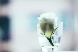 人到中年才明白，是爷爷奶奶亲，还是外公外婆亲图片