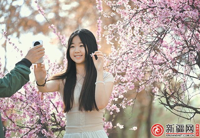 乌鲁木齐：四月春意浓 花开正当时